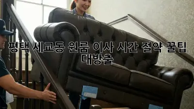 평택 세교동 원룸 이사? 시간 절약 꿀팁 대방출!