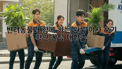 반려동물과 함께 하는 원룸 이사 후기 확인: 꿀팁 대방출!