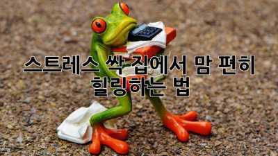 🏠✨ 스트레스 싹! 집에서 맘 편히 힐링하는 법 🌿